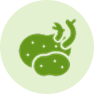 Aardappelen & knollen