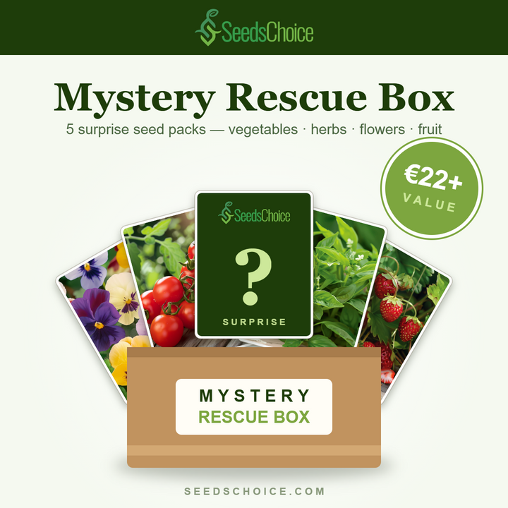 SeedsChoice Mystery Box — verrassingsmix van groente-, kruid-, bloemen- en fruitzaden