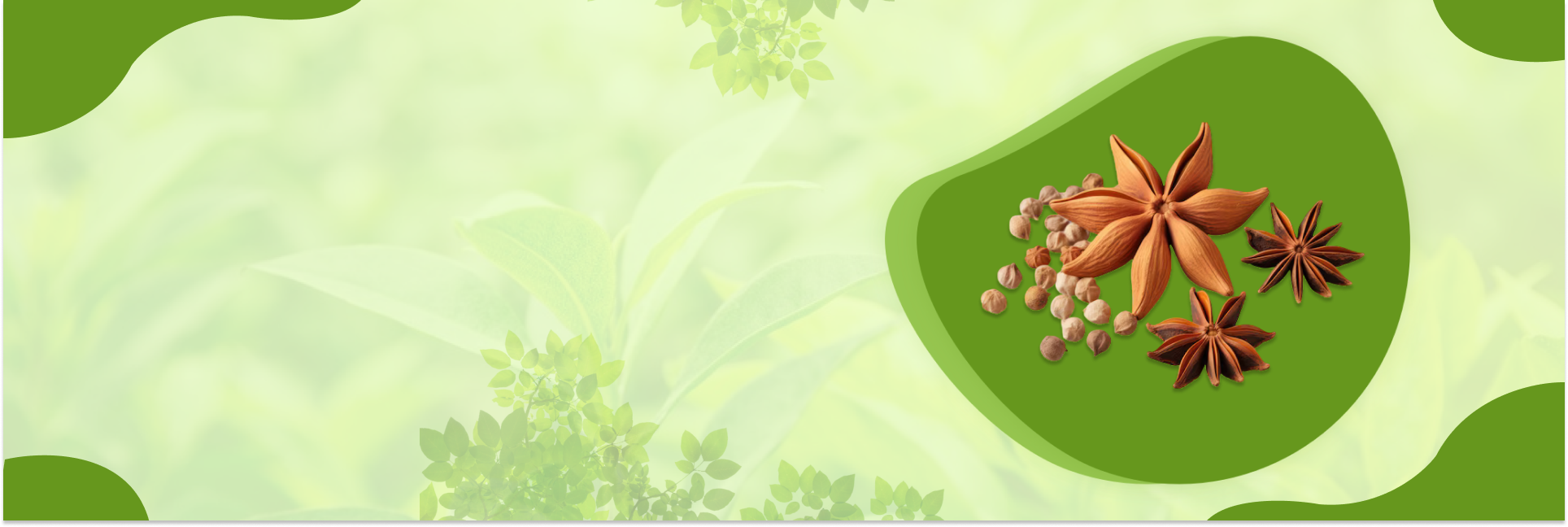 Organic – banner at SeedsChoice