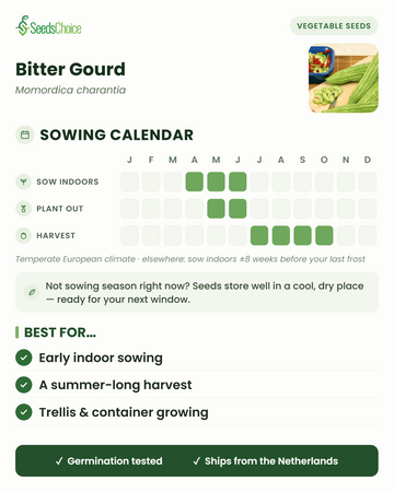 Zaaikalender voor Bittermeloen in een gematigd Europees klimaat: binnen voorzaaien april tot juni, buiten planten mei tot juni, oogst juli tot oktober; zaden blijven goed bewaard tot het volgende zaadseizoen