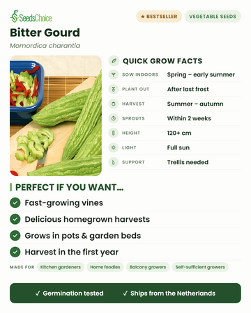 Bitter Gourd Momordica charantia snelle kweekinfo: binnen voorzaaien in de lente, uitplanten na de laatste vorst, oogst van zomer tot herfst, klimranken tot 120+ cm op een klimrek, volle zon