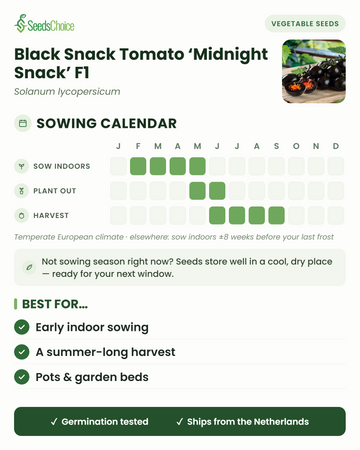Zaaikalender voor Black Snack Tomato Midnight Snack F1 in een gematigd Europees klimaat: binnen voorzaaien februari t/m mei, uitplanten mei t/m juni, oogst juni t/m september; zaden blijven goed bewaarbaar tot het volgende zaaiseizoenen